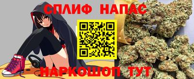 шишки Ставрополь