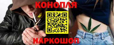 шишки Ставрополь