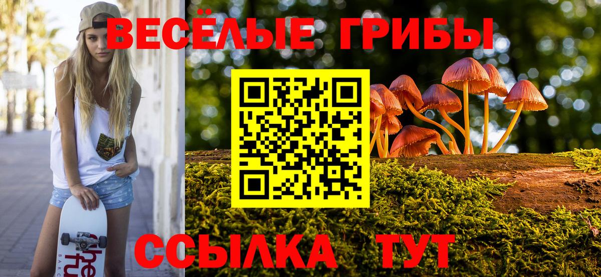 Обь  Галлюциногенные грибы мицелий  Галлюциногенные грибы мицелий  Вход с VPN 