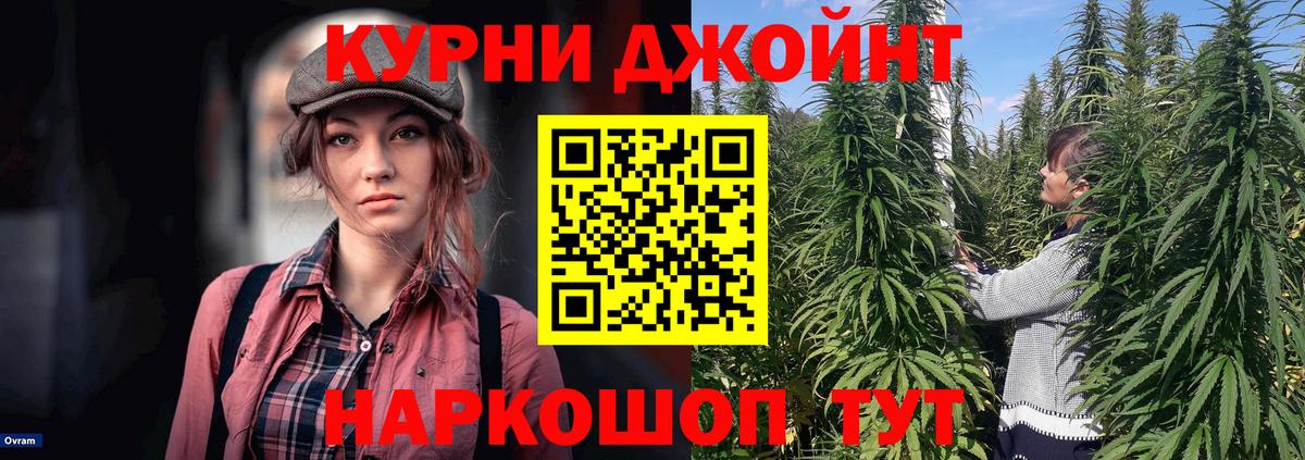 Шишки марихуана сатива Обь